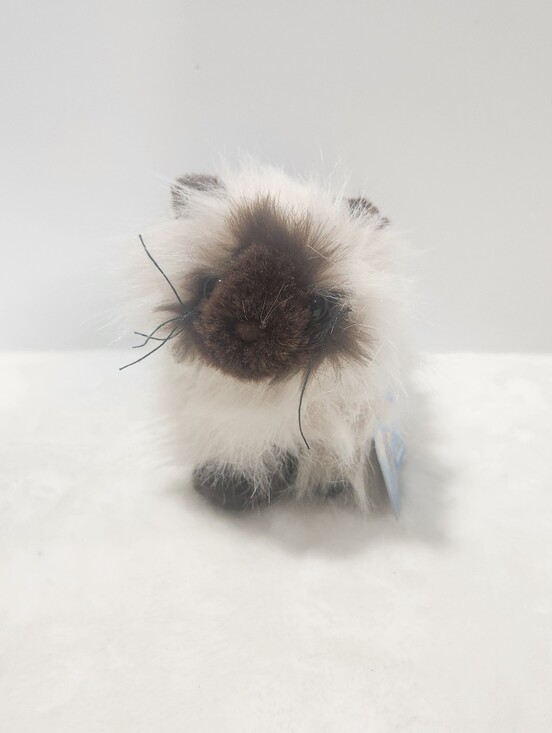 GANZ Other - Ganz Webkinz Himalayan Persian Siamese Cat Stuffie Plush Toy With Code HM165